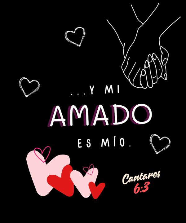 Playera "y mi amado"