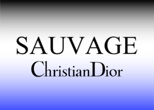 Sauvage - Christian Dior - Hombre 100ml